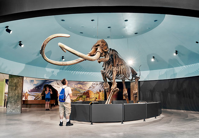 Tourists look at mammoth skeleton at La Brea Tar Pits museum in Los Angeles